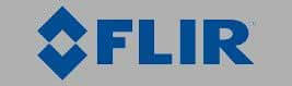 Flir Logo Image