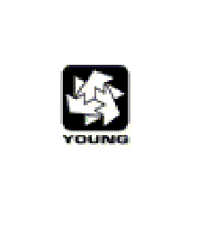 RM Young Logo Small